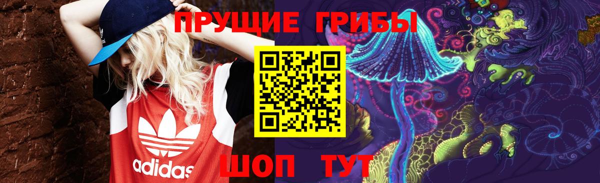 Галлюциногенные грибы Cubensis Гуково