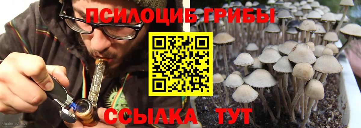 Гуково  Галлюциногенные грибы Magic Shrooms  Вход с VPN 